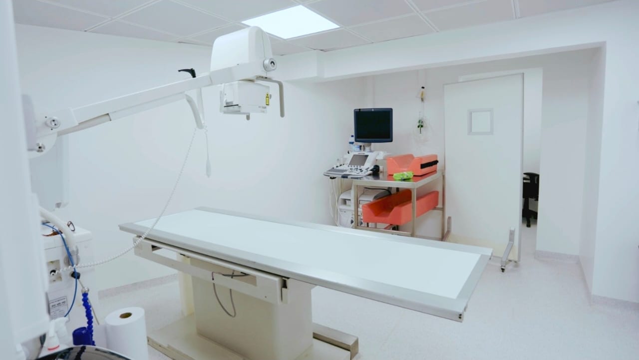 Imagen de vista previa